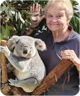 Cuddle a koala